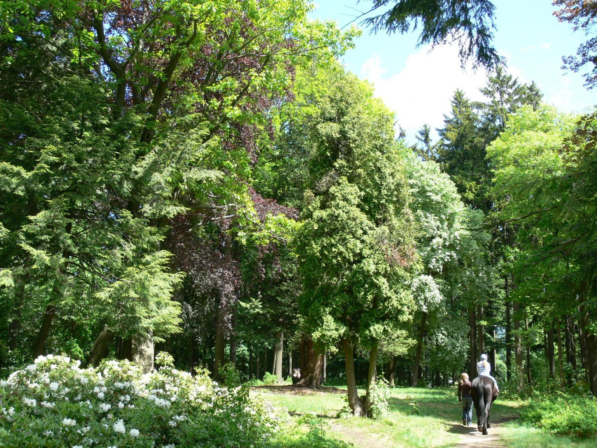 Parkhotel Смржовка Экстерьер фото